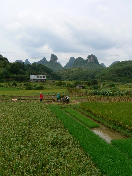 Yangshuo